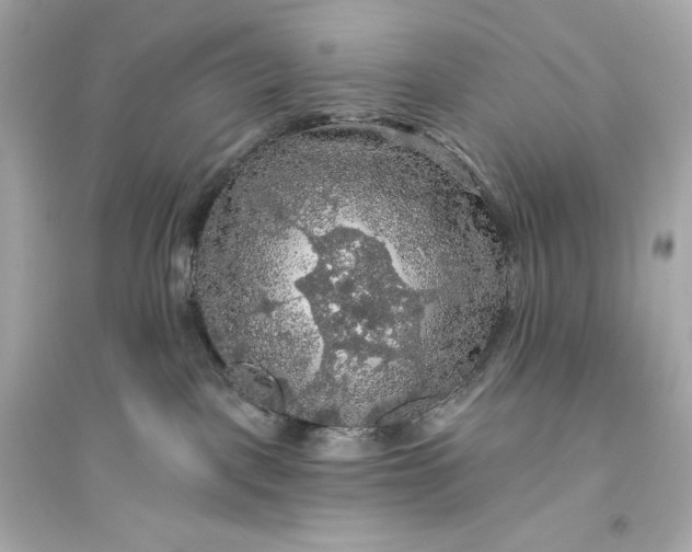 X0000094810093200711301601