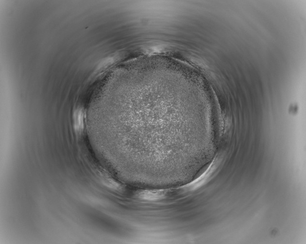 X0000094810094200711301601