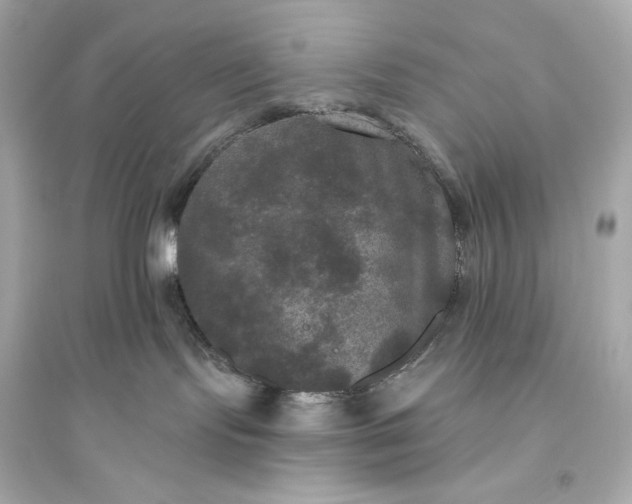 X0000094810095200711301601