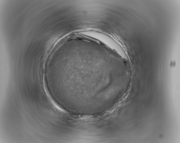 X0000094810097200711301600