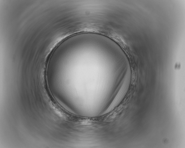 X0000094810098200711301600