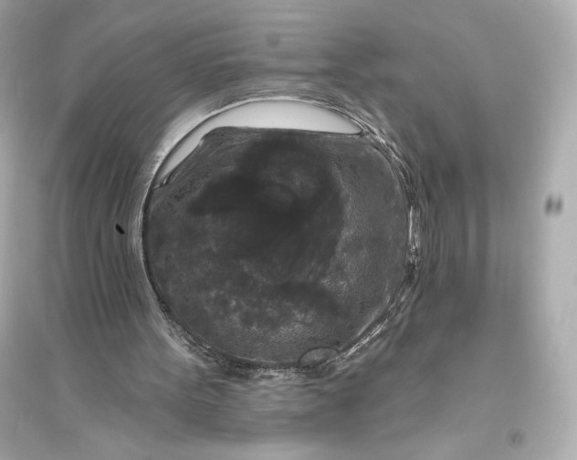 X0000094810099200711301600