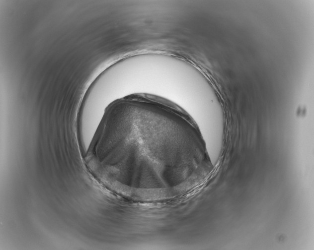 X0000094810100200711301600