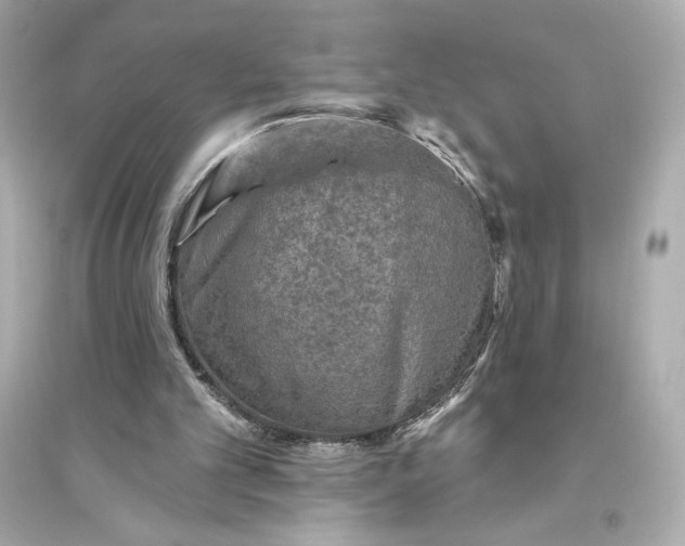 X0000094810101200711301600