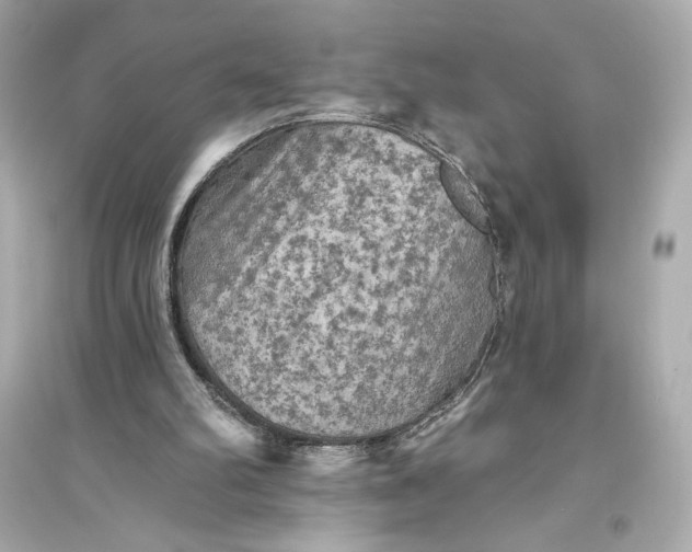 X0000094810102200711301600