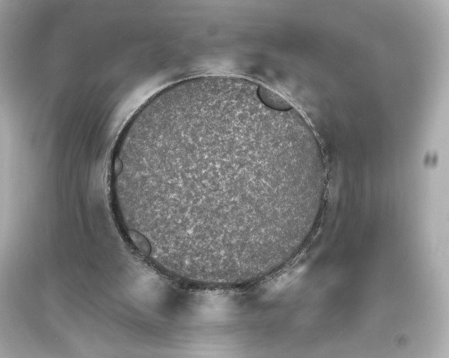 X0000094810103200711301600