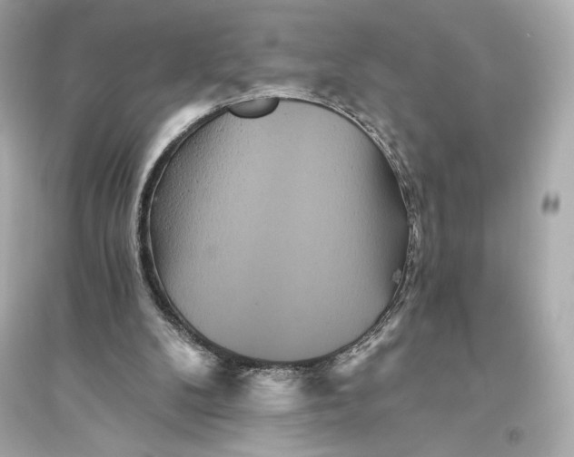 X0000094810104200711301600