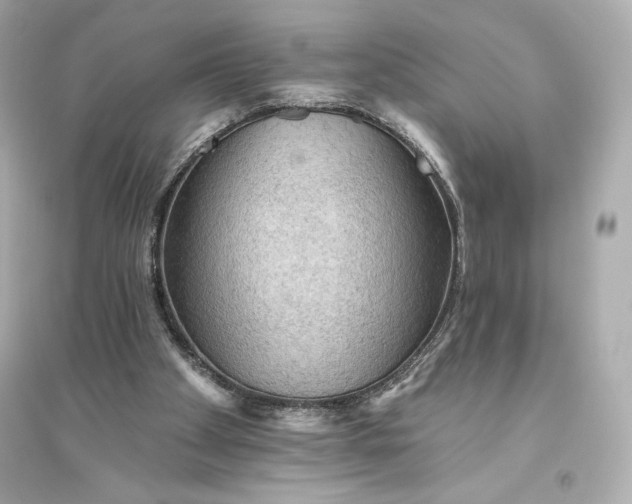 X0000094810105200711301600