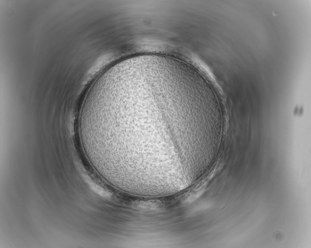 X0000094810106200711301600