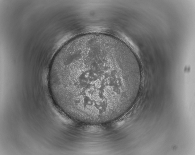 X0000094810107200711301600