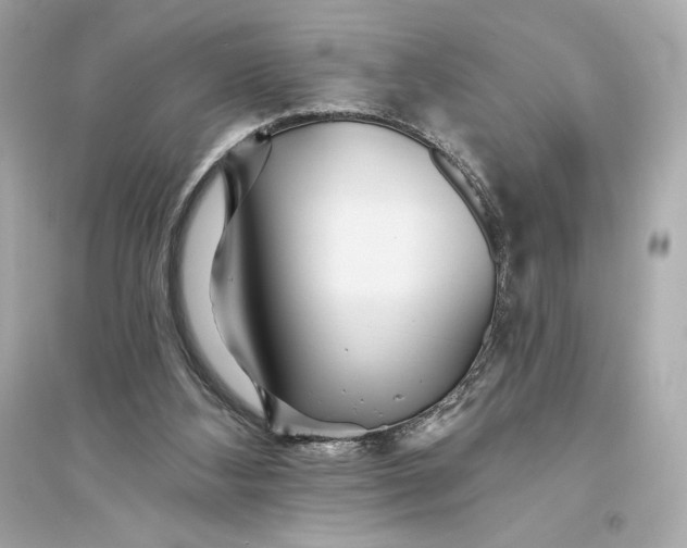 X0000094810108200711301600