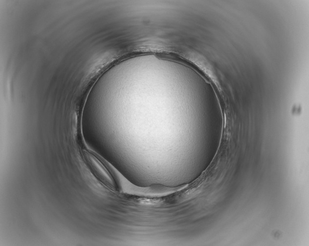 X0000094810109200711301600