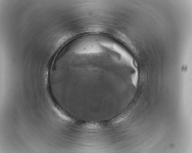 X0000094810110200711301600