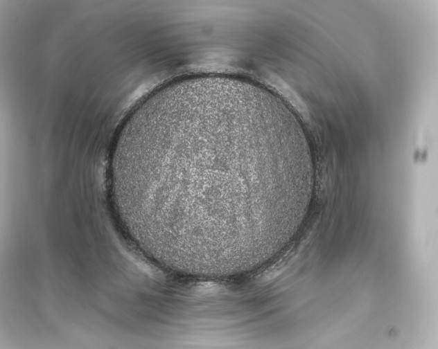 X0000094810111200711301600