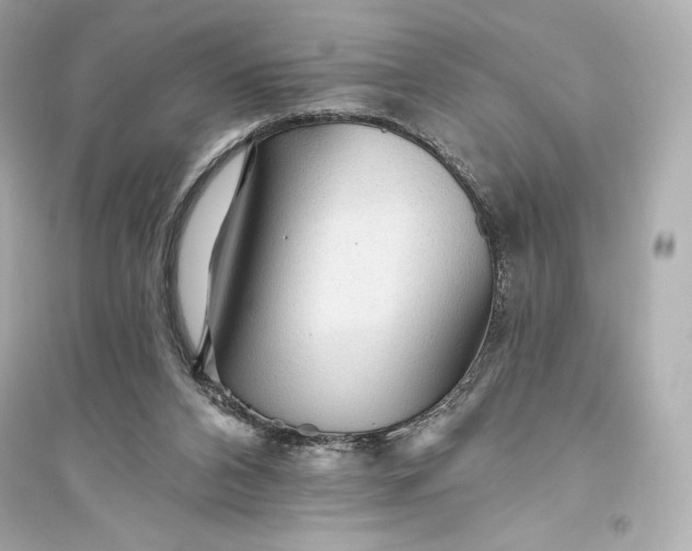 X0000094810112200711301600