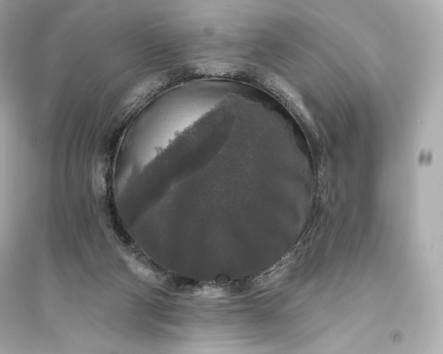 X0000094810114200711301600