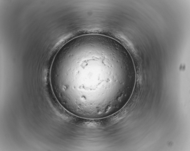 X0000094810115200711301600