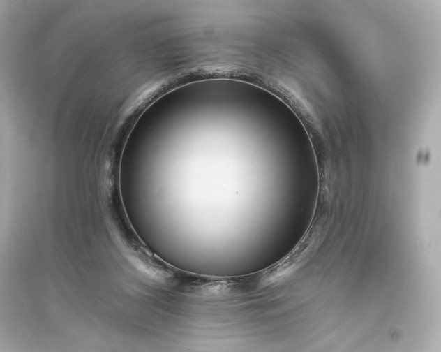 X0000094810116200711301600