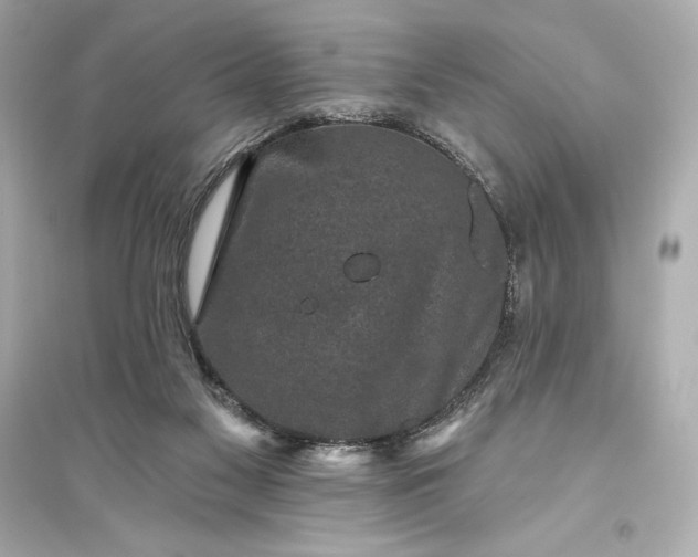 X0000094810117200711301600