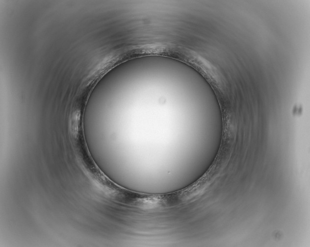 X0000094810118200711301600