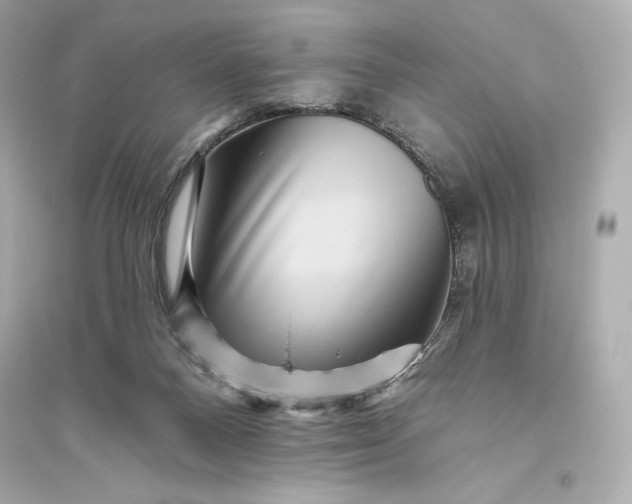 X0000094810120200711301600