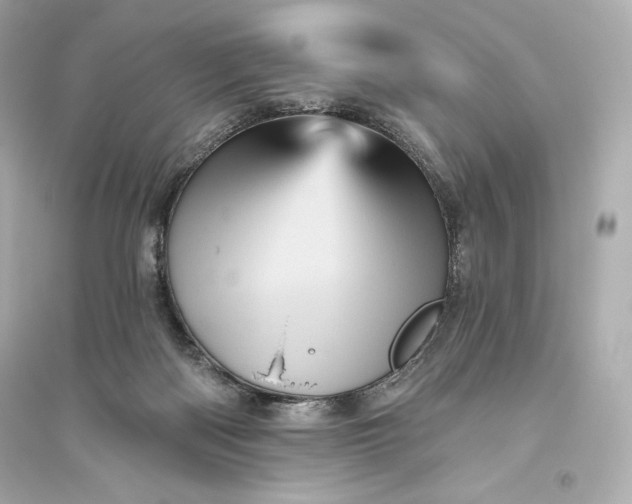 X0000094810122200711301600