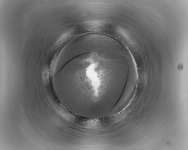 X0000094810124200711301600