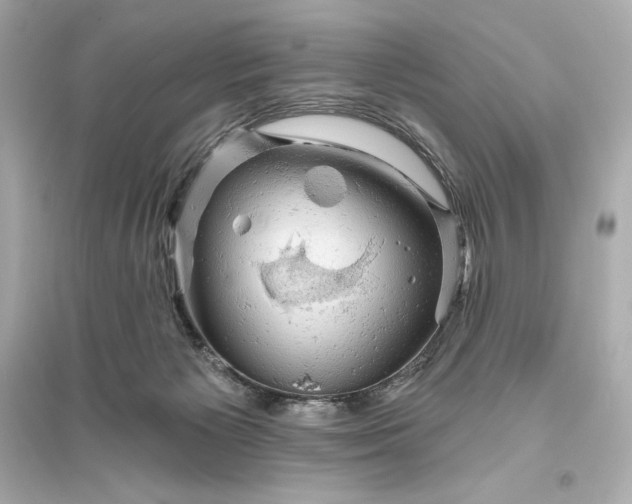 X0000094810125200711301600