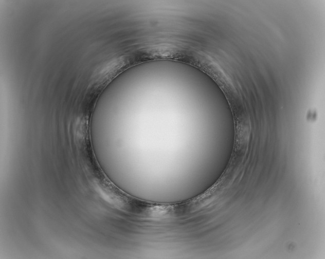 X0000094810126200711301600