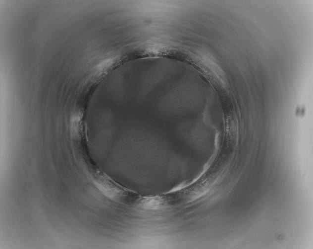 X0000094810127200711301600