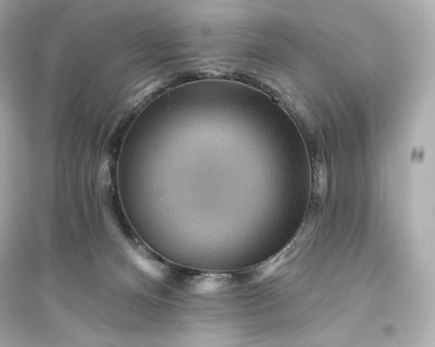 X0000094810128200711301600