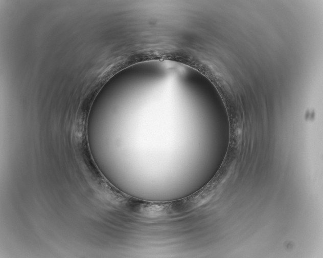 X0000094810129200711301600