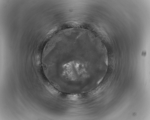 X0000094810131200711301600