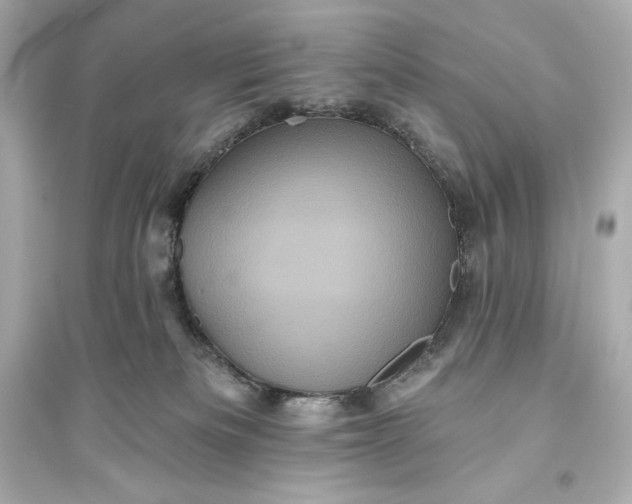 X0000094810133200711301600