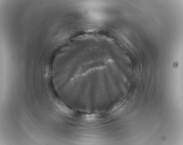 X0000094810134200711301600