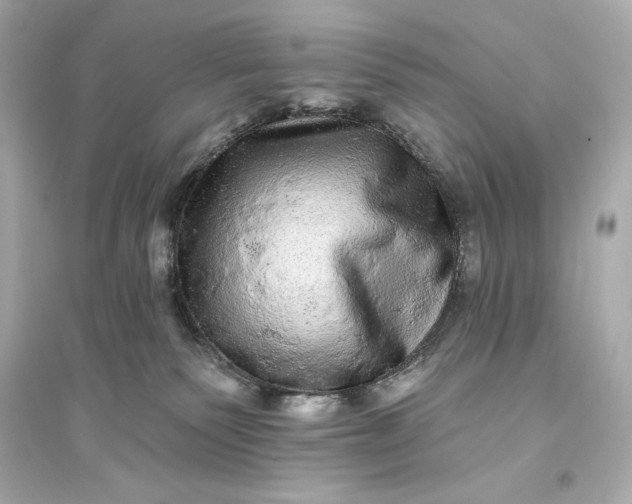 X0000094810135200711301600