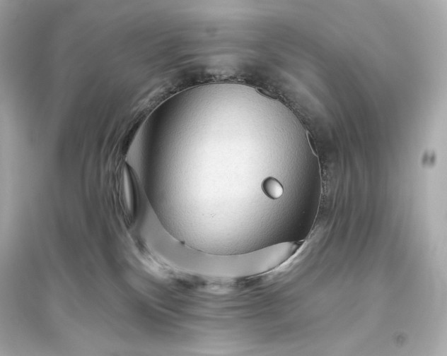 X0000094810136200711301600