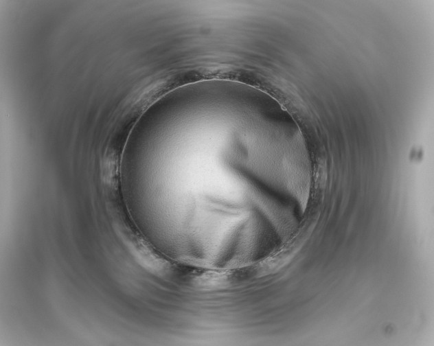 X0000094810138200711301600