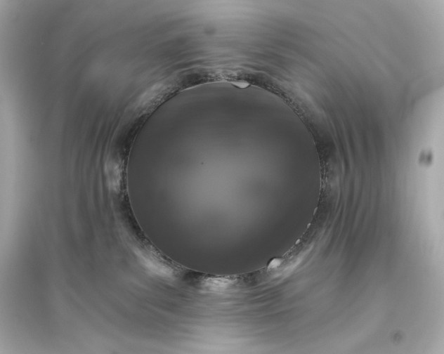 X0000094810139200711301600