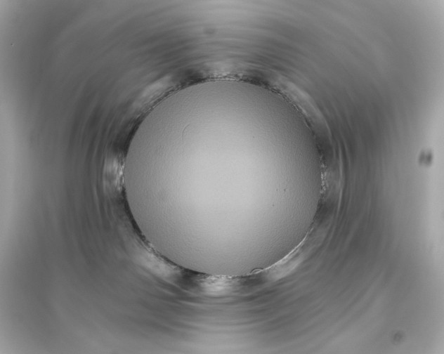 X0000094810142200711301600