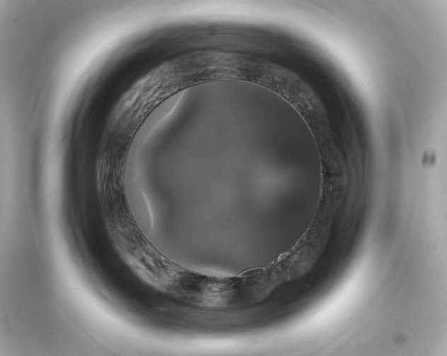 X0000094810143200711301600