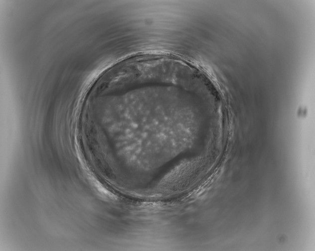 X0000094810145200711301559