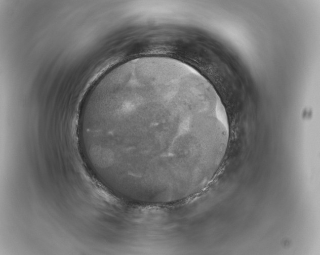 X0000094810146200711301559