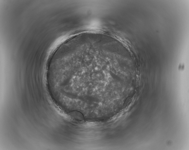 X0000094810149200711301559