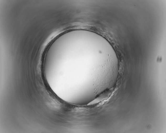 X0000094810150200711301559