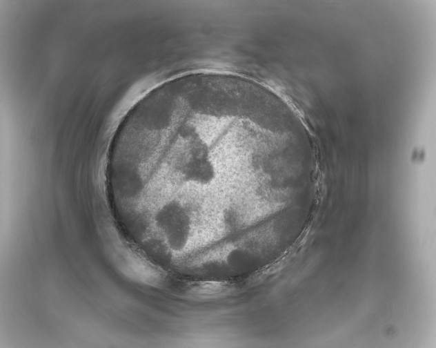 X0000094810151200711301559