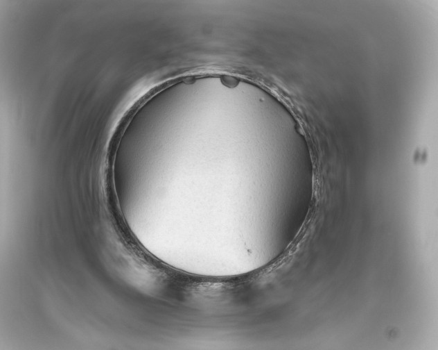 X0000094810152200711301559