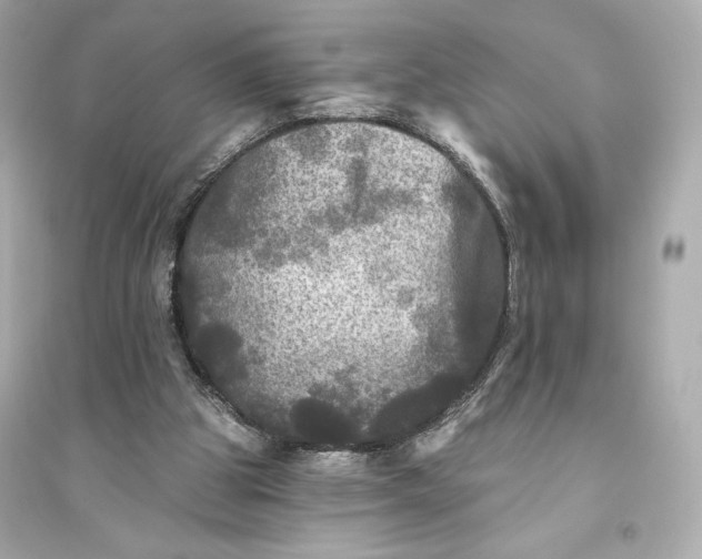 X0000094810153200711301559