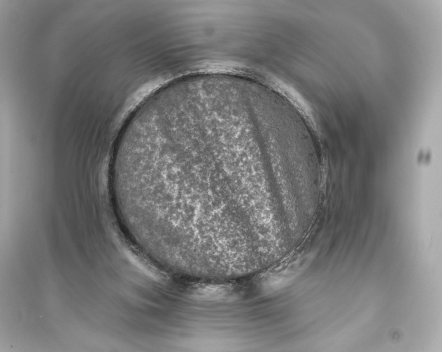 X0000094810155200711301559