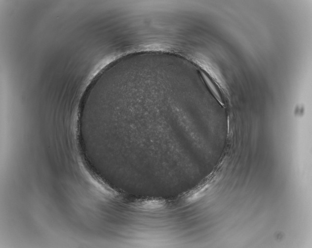 X0000094810156200711301559